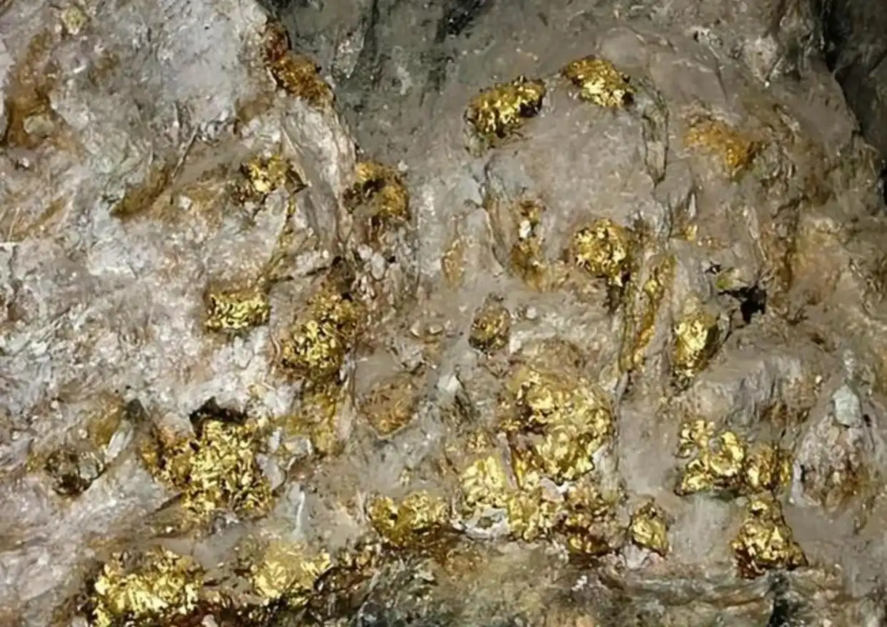 ae056441d3aace6dd00c94b9c91528b8.png ae056441d3aace6dd00c94b9c91528b8.png